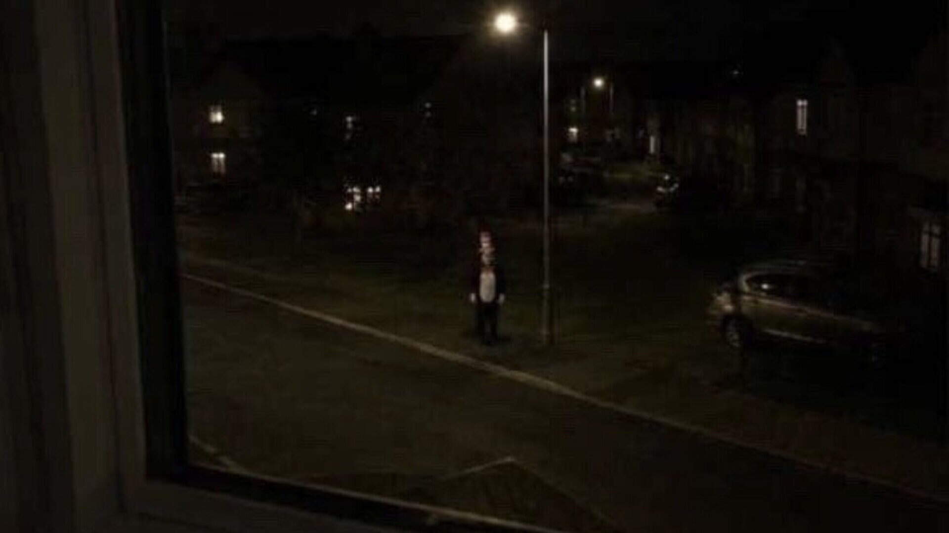 Wexford Garda Confirm Viral Cat In The Hat Sightings Are AI wexford-garda-confirm-viral-cat-in-the-hat-sightings-are-ai